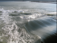 /album/fotogalerij-lesopdracht-2-fotoalbum-1970/vloed-png/